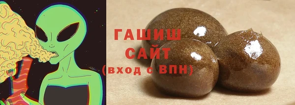 стаф Касимов