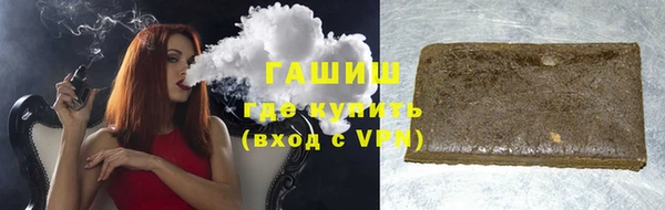 стаф Касимов