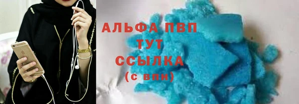 стаф Касимов