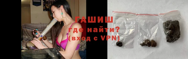 стаф Касимов