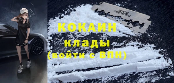 стаф Касимов