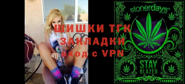 стаф Касимов